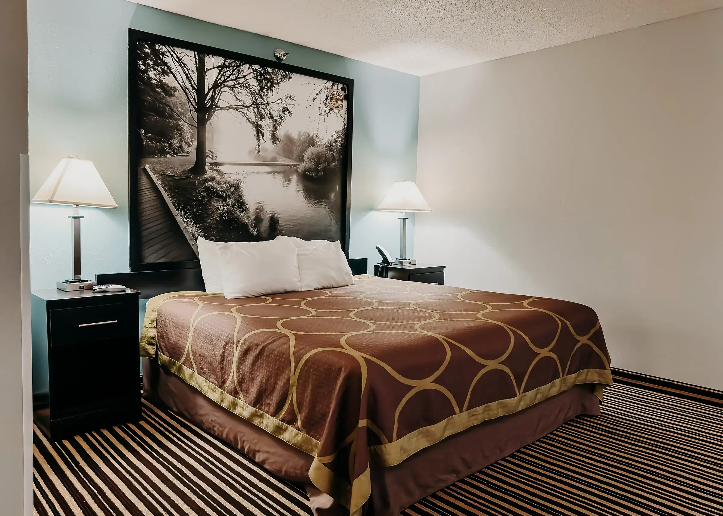 Standard single room with one king bed and bedside lamps